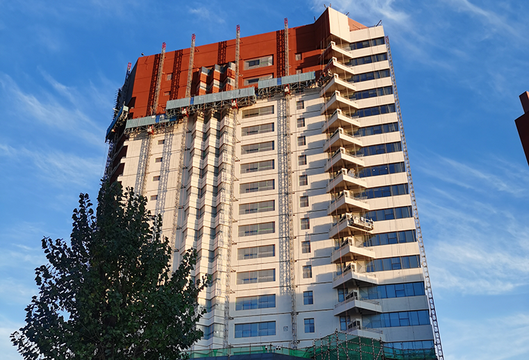 GOWE Electric Mast Climbing Work Platform-Public Buildings