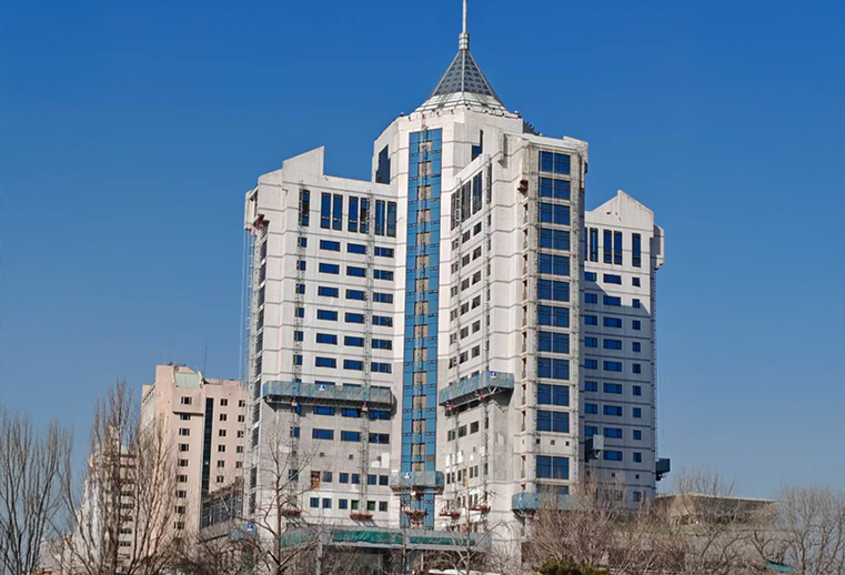 GOWE Electric Mast Climbing Work Platform-Public Buildings